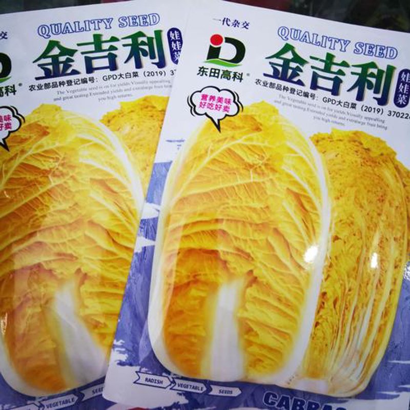 太原市金吉利工贸有限公司:行业动态与市场趋势